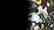 STEINS;GATE ELITE